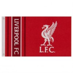 Liverpool flag  Liverbird 